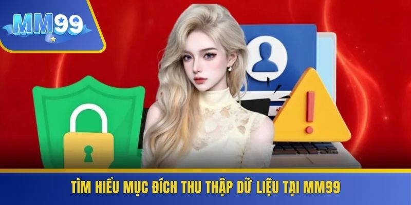 Tìm hiểu mục đích thu thập dữ liệu tại MM99